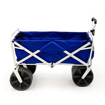 Beach Wagon