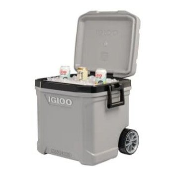 Cooler